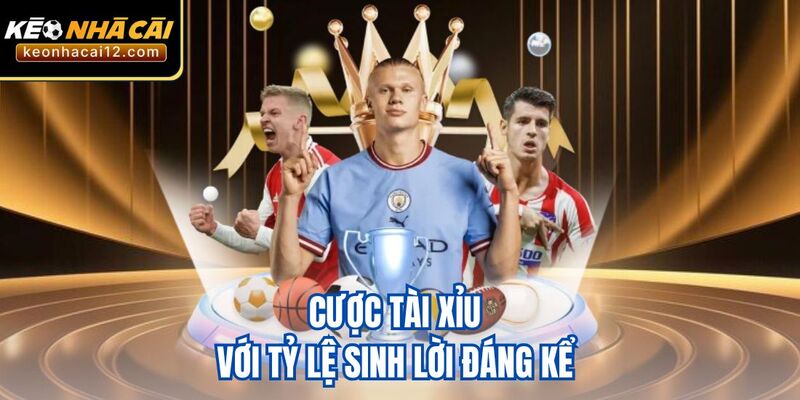 Cược tài xỉu với tỷ lệ sinh lời đáng kể 