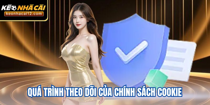 Quá trình theo dõi của chính sách cookie
