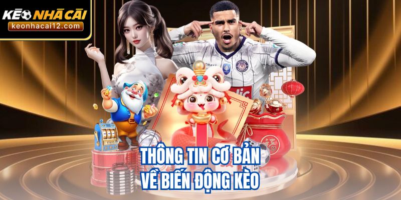 Thông tin cơ bản về biến động kèo 