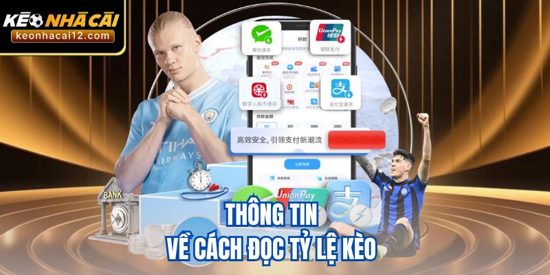 Thông tin về cách đọc tỷ lệ kèo 