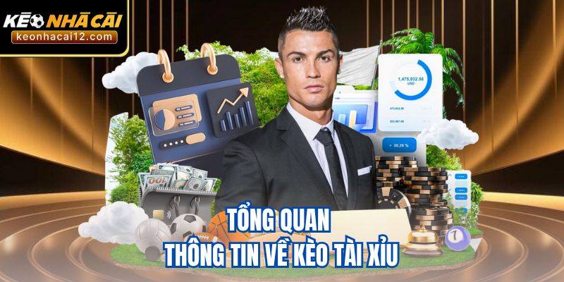 Tổng quan thông tin về kèo tài xỉu